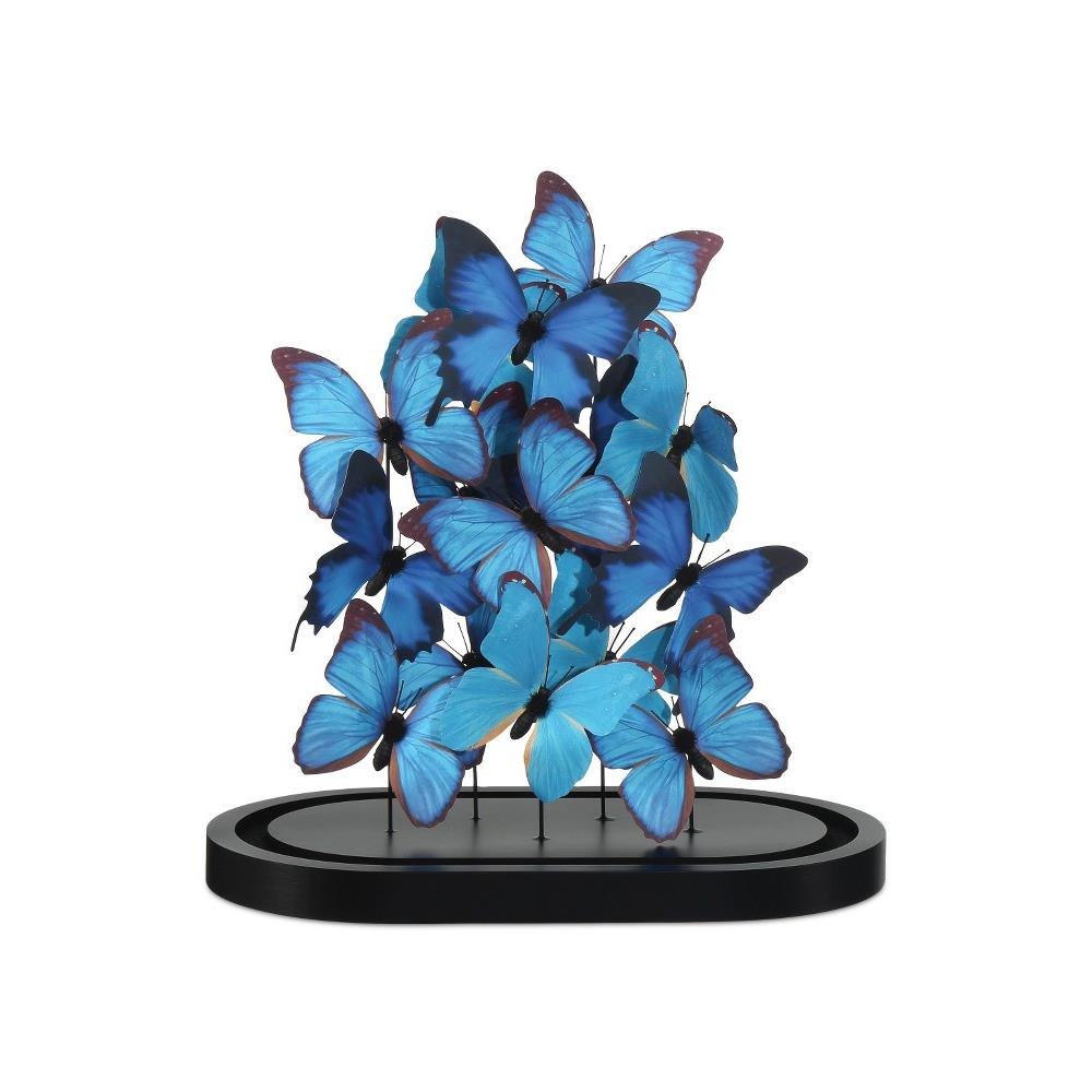 1200-0896