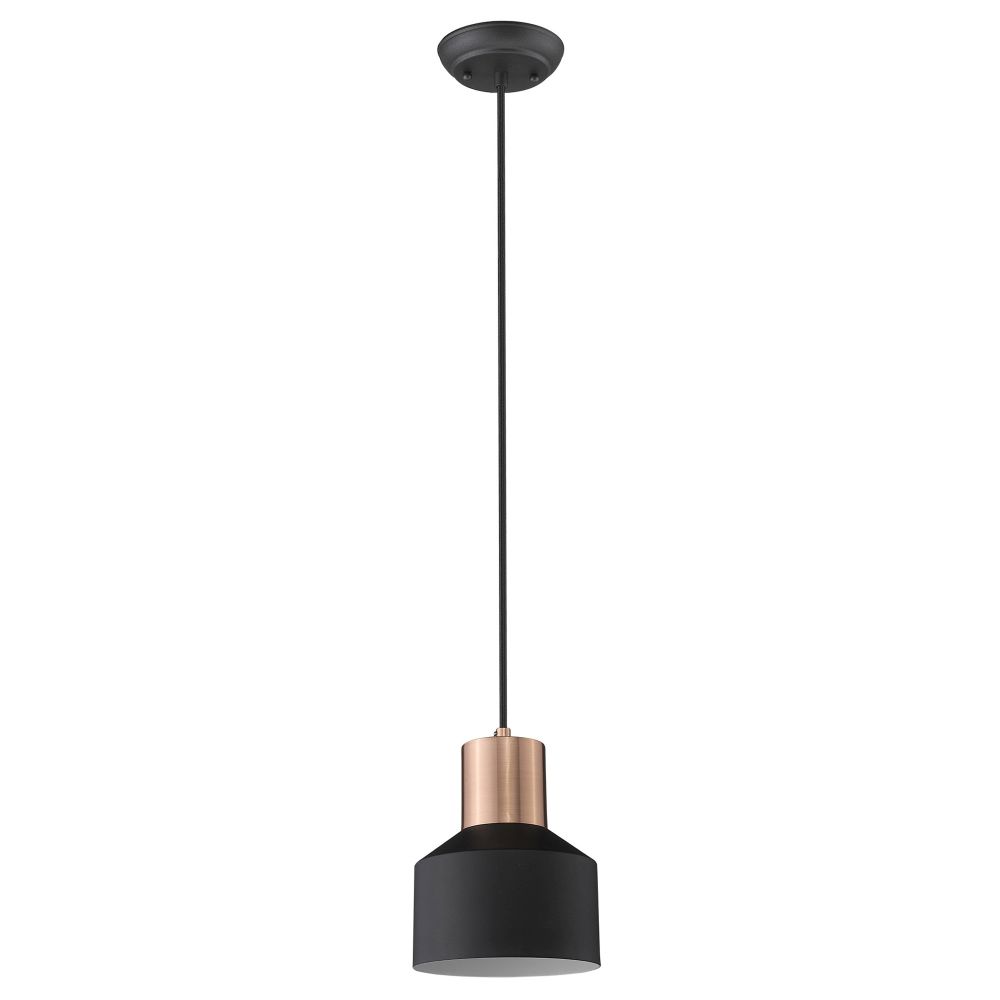 TP30065BK