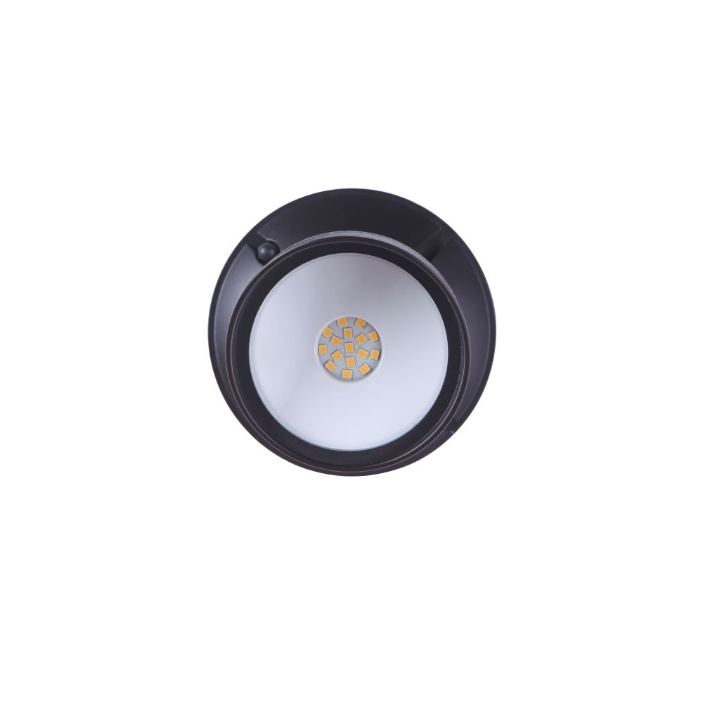 Z421-BZ-LED