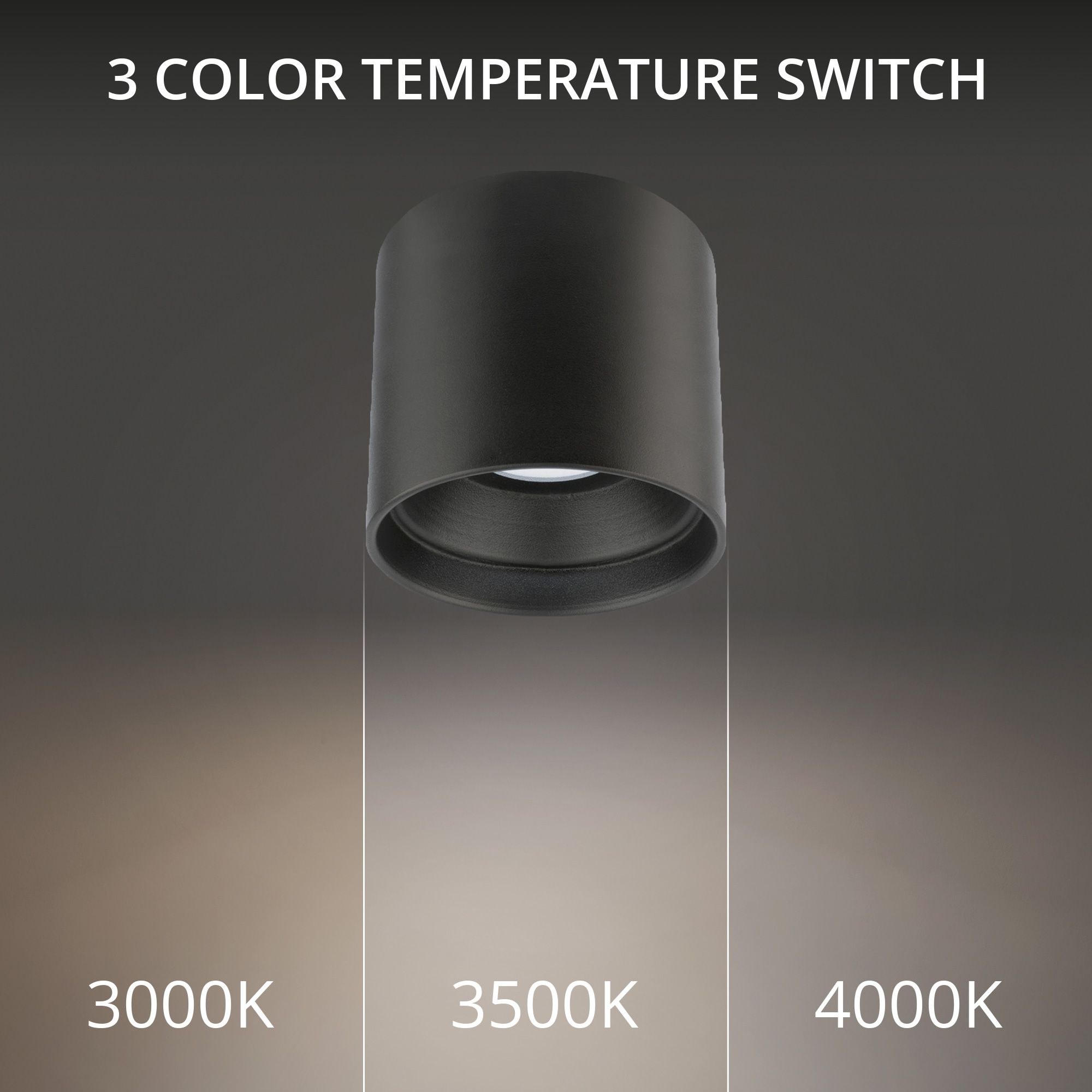 FM-W47205-30-BK