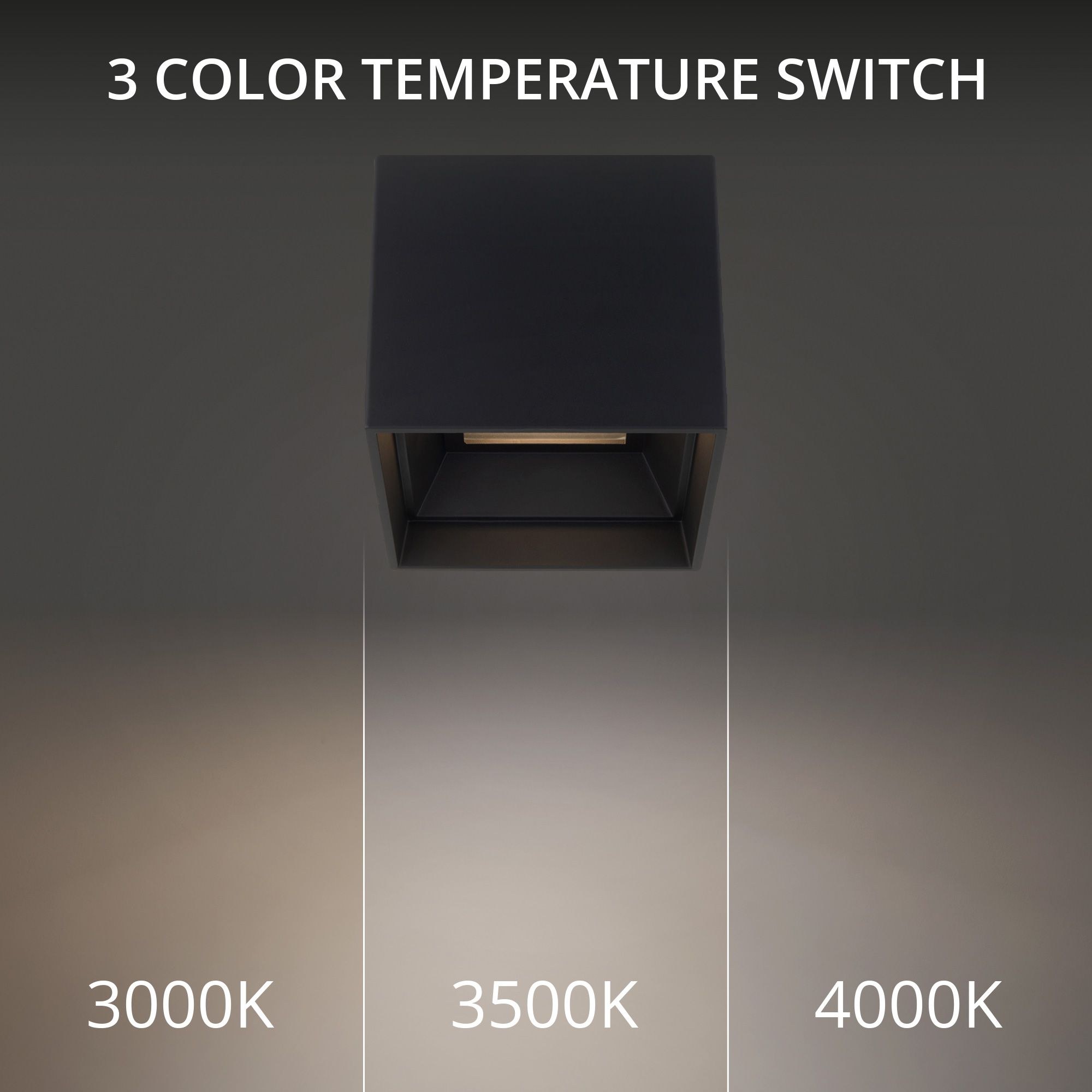 FM-W47206-30-BK