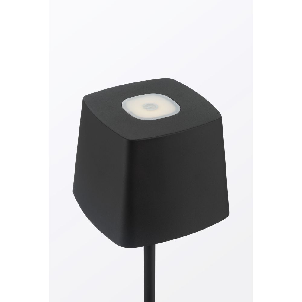 P1665-66A-L