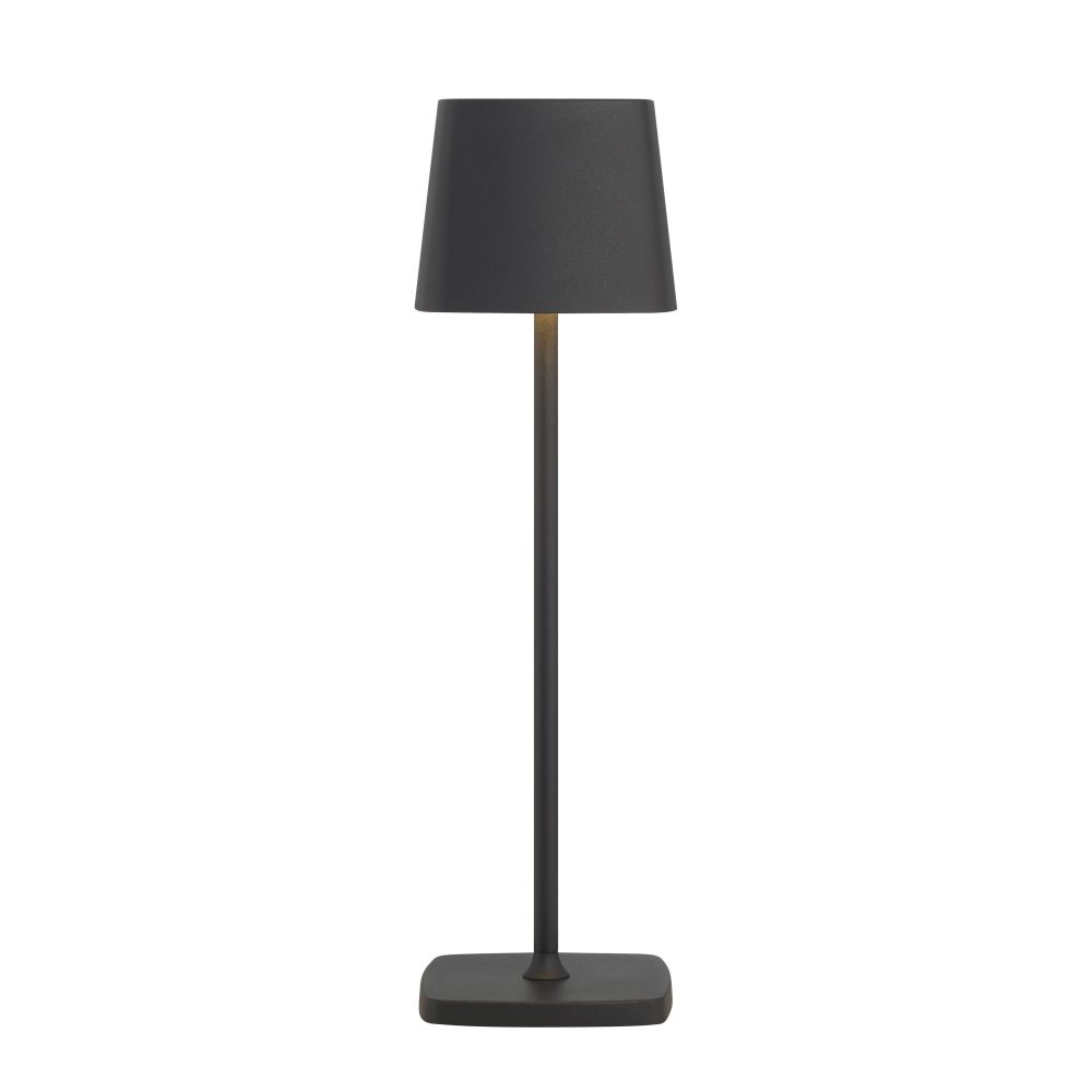 P1665-66A-L