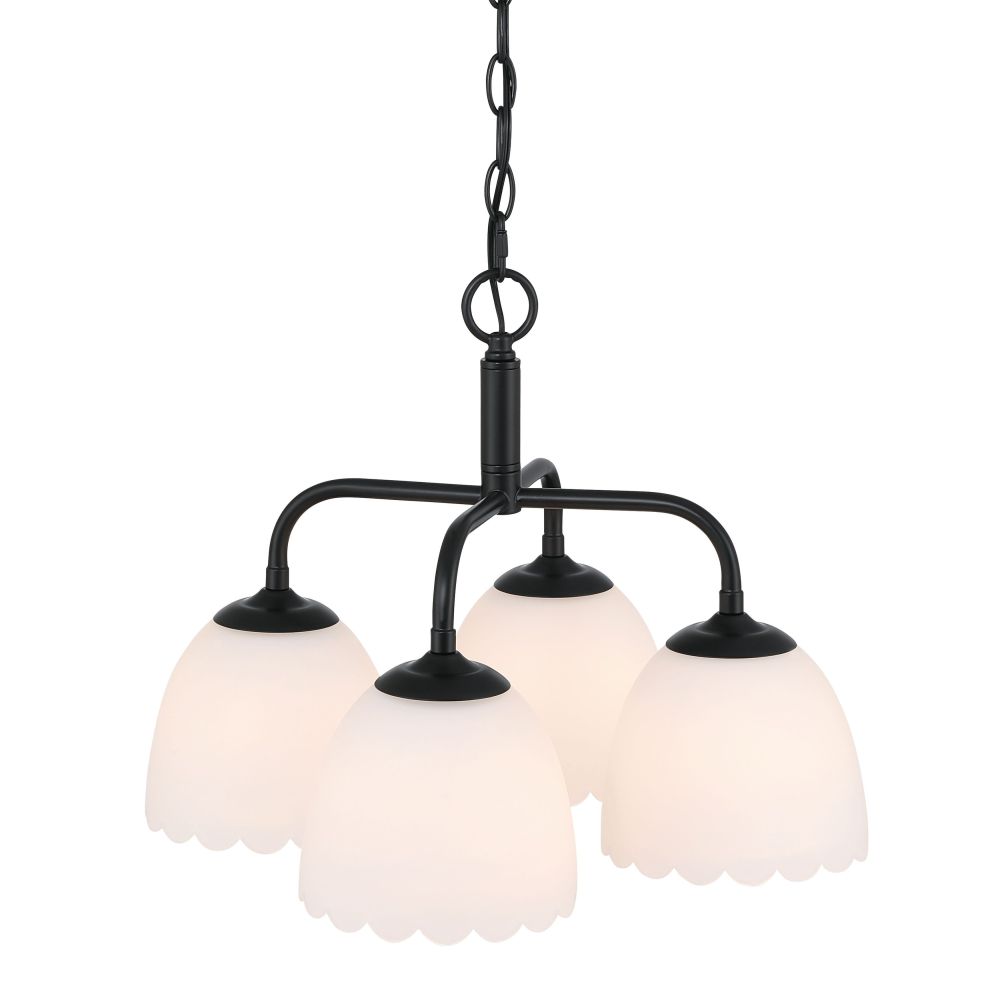 6954-4P BLK-OP