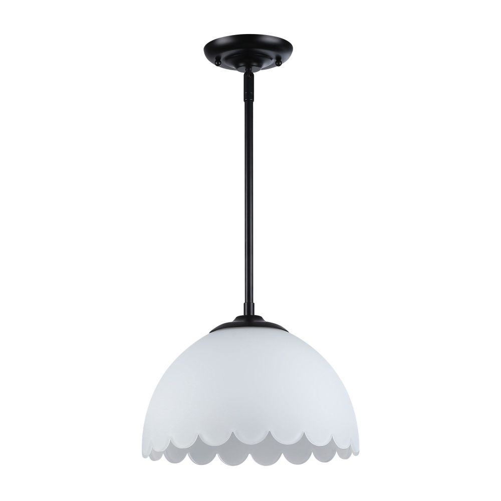 6954-M BLK-OP