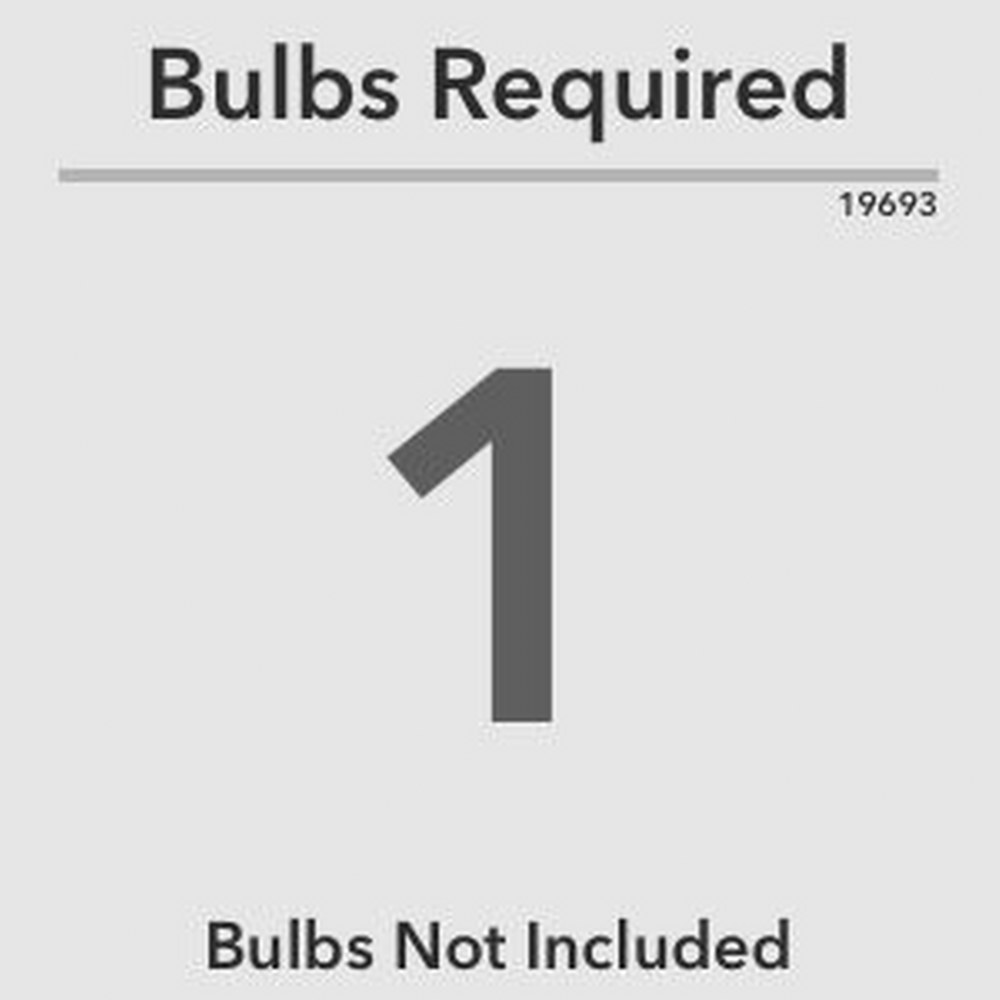 19693