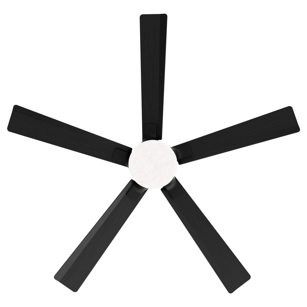 FR-D2603-56A-MB