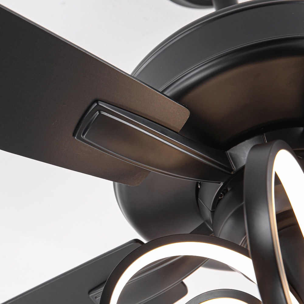 F6019BK