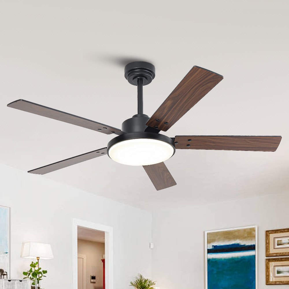 VZA01A117BK