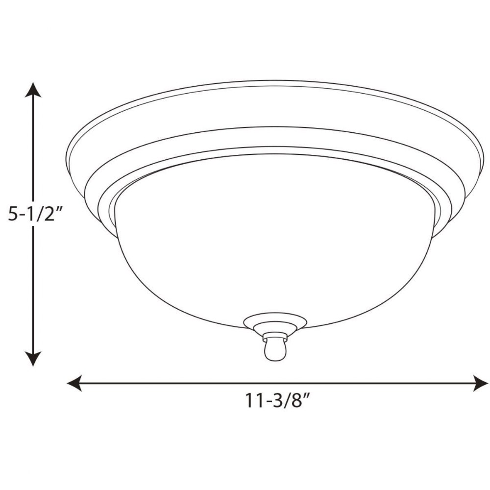 P3924-20