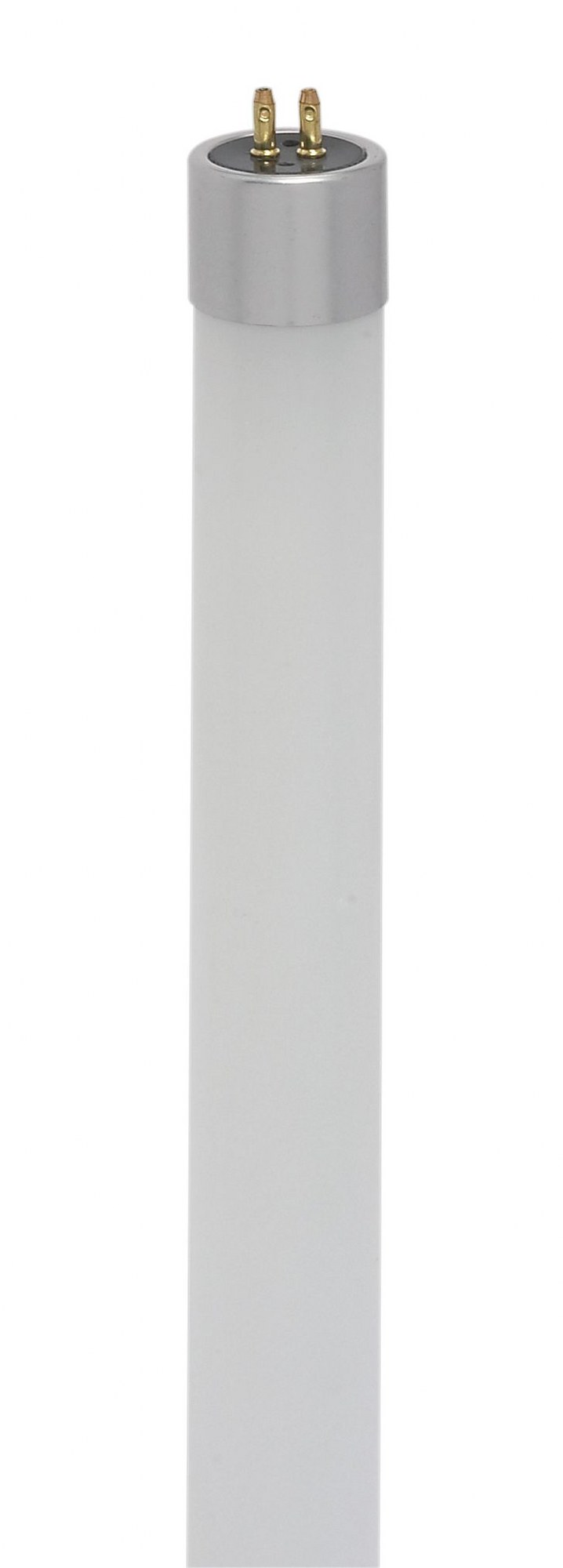 S11904