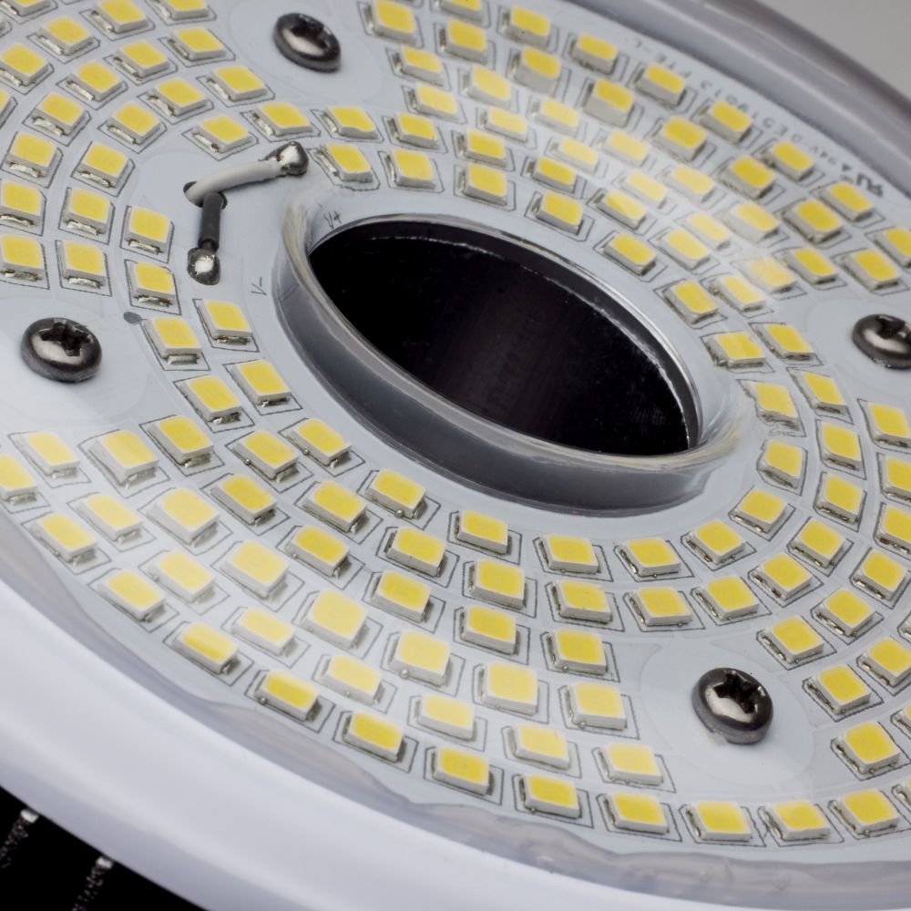 S33116