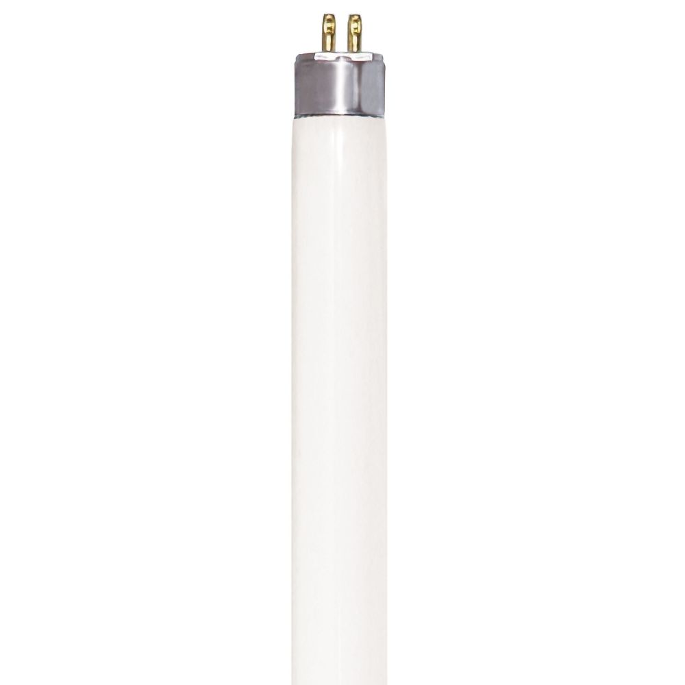 S6447