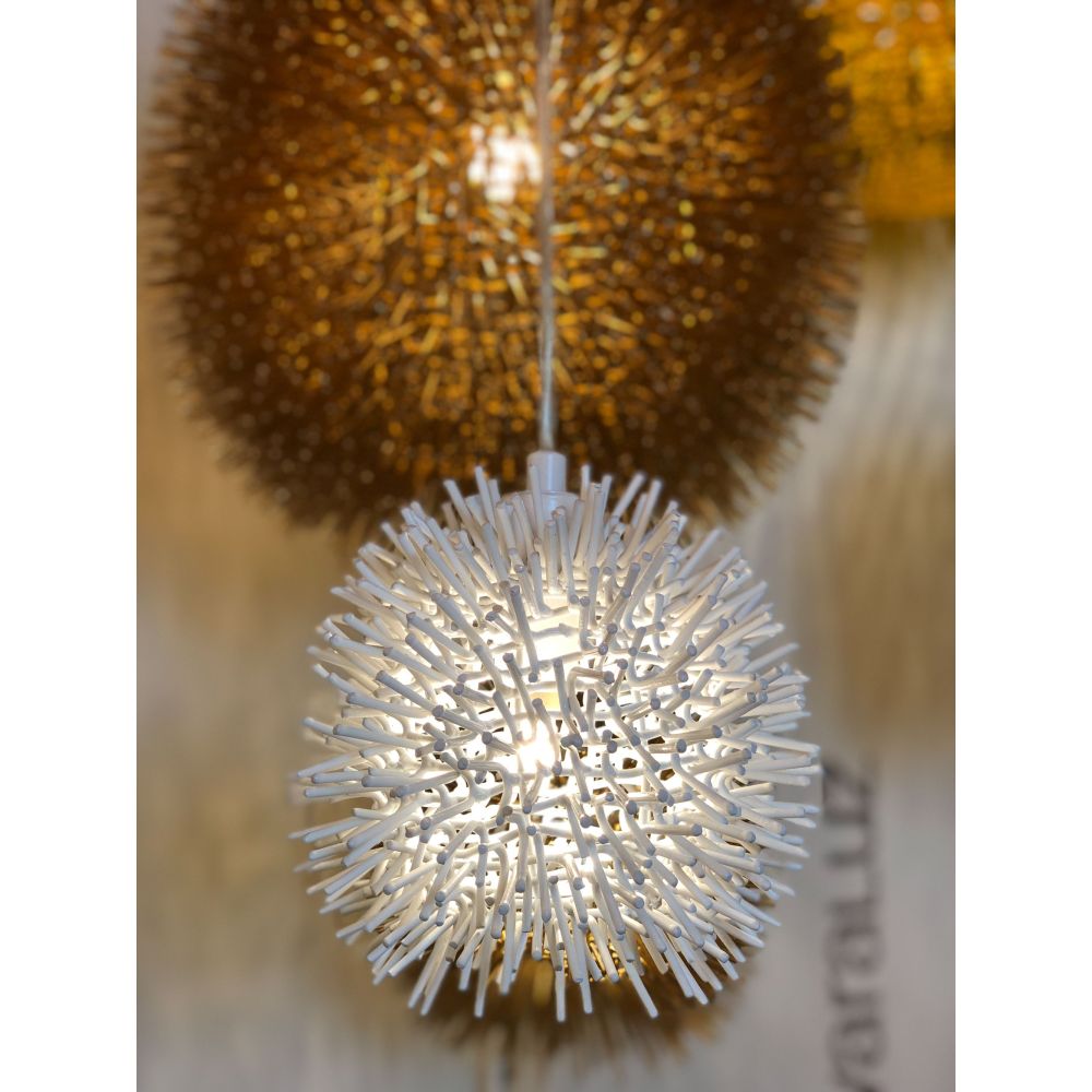 169M01SWH