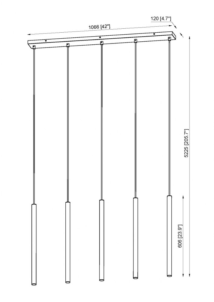 919MP24-5L-BN-LED