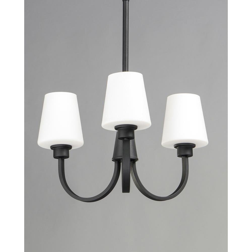 11823SWBK