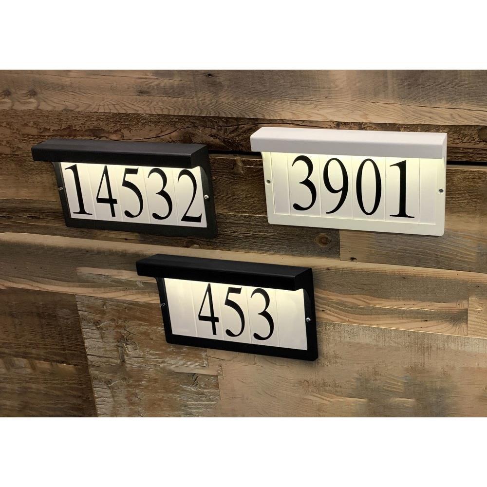 53618WT