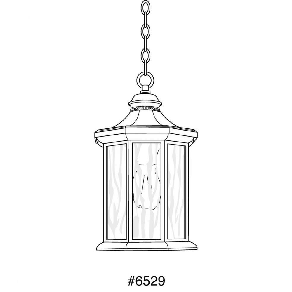 P6529-20