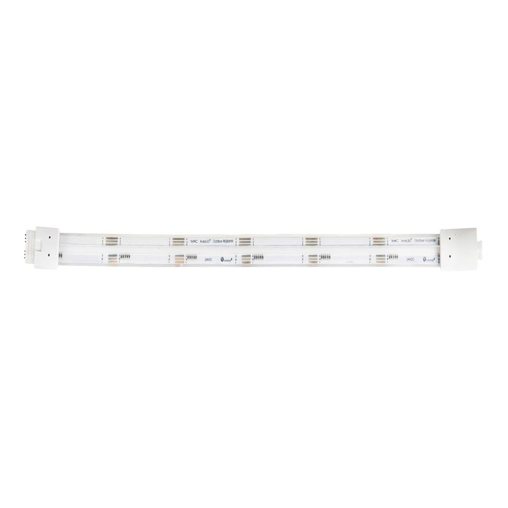 T24-OD1-25-CC